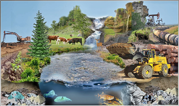 Богатства нашего отечества