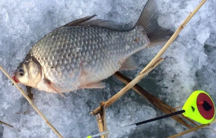 Как сделать мормышку своими руками – простой способ