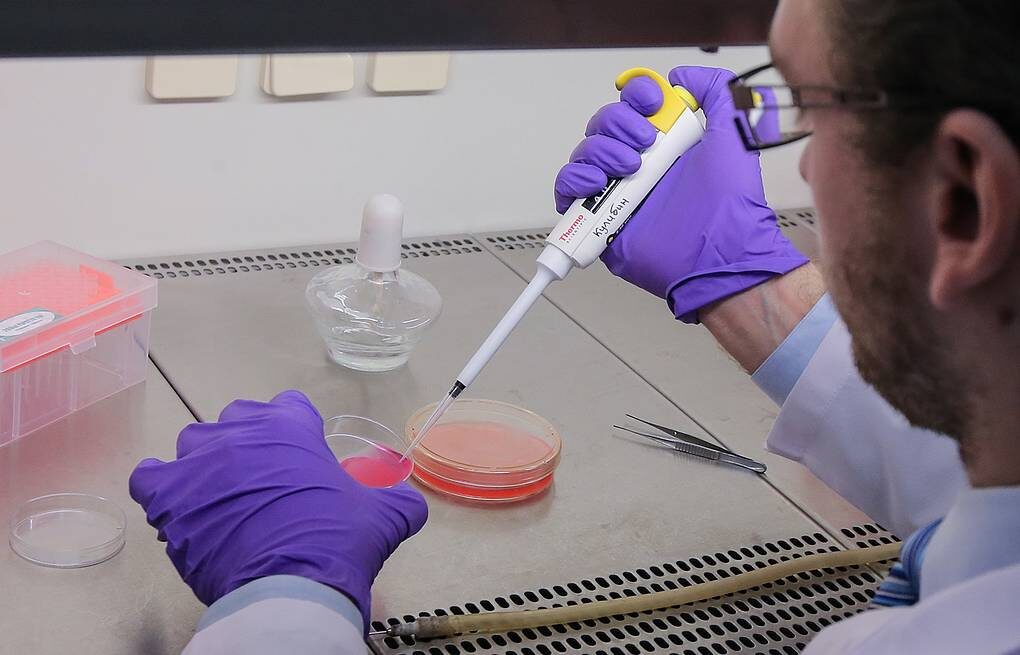 источник картинки гугл.