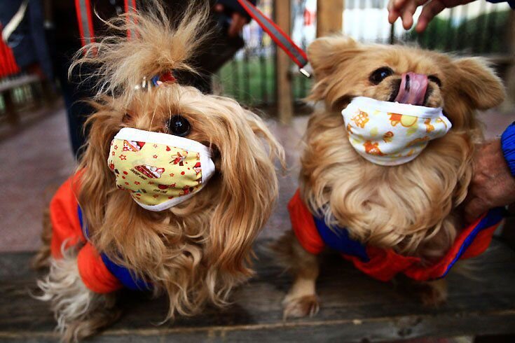 Источник: https://yandex.ru/images/