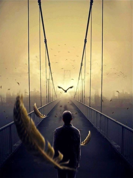 Источник: Яндекс картинки.