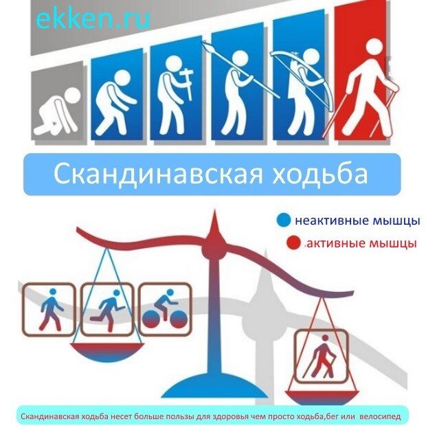 Скандинавская ходьба- это сила 💪 