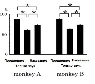 https://www.researchgate.net/figure/Behavioral-Task-and-Performance_fig5_6812728