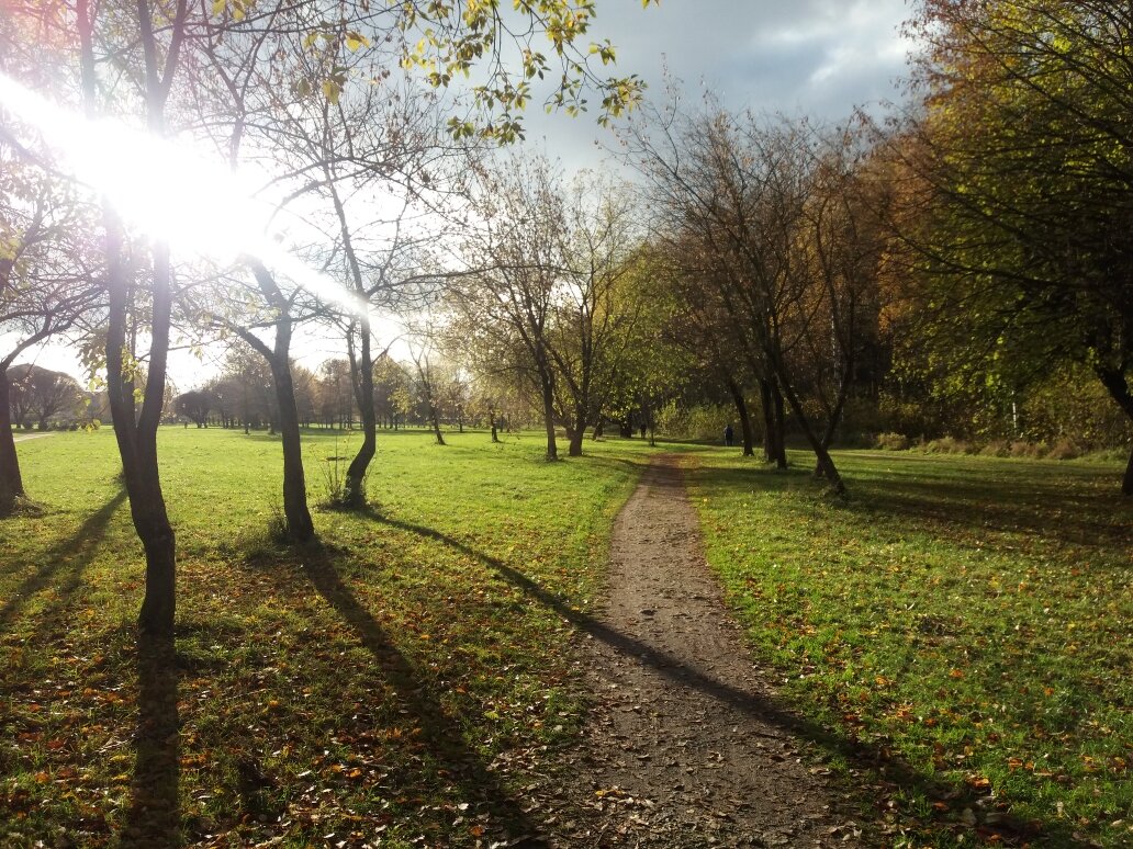 Фото автора (прогулка в октябре)