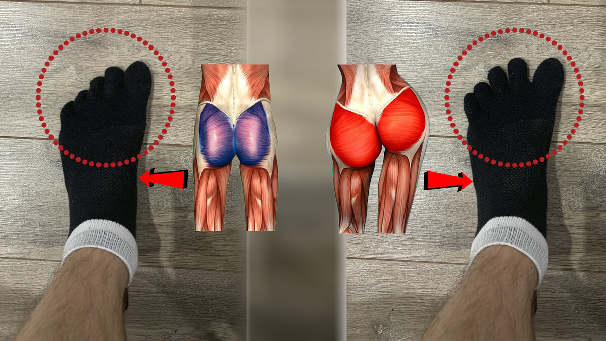 Автор - Пенкин Егор/Fit.Therapy.Official