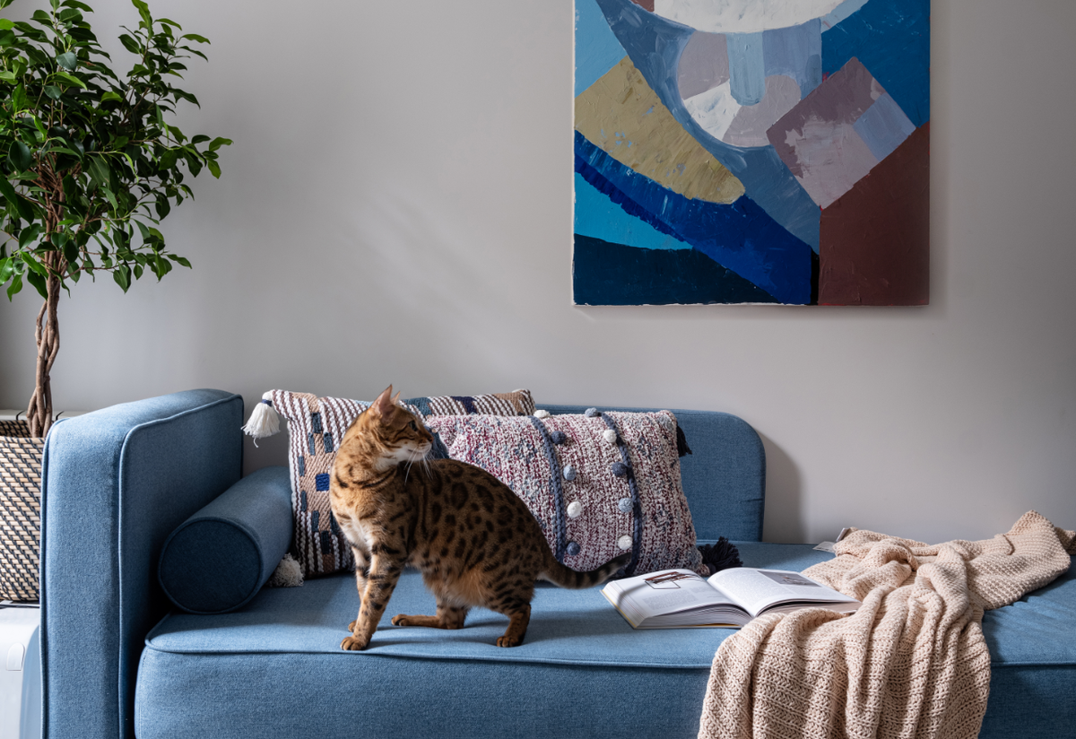 Фото: @burddesign