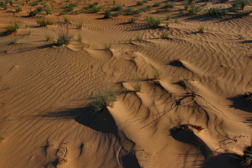 Источник: sareptamuseum.ru