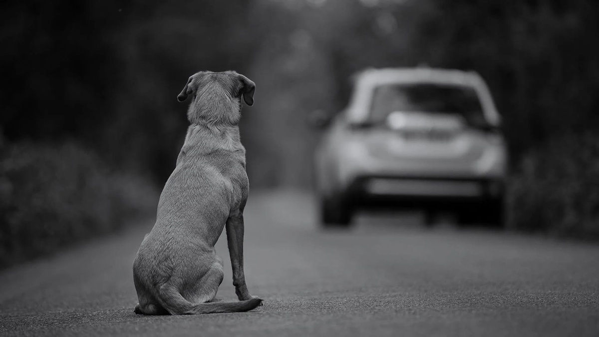 Фото: Shutterstock