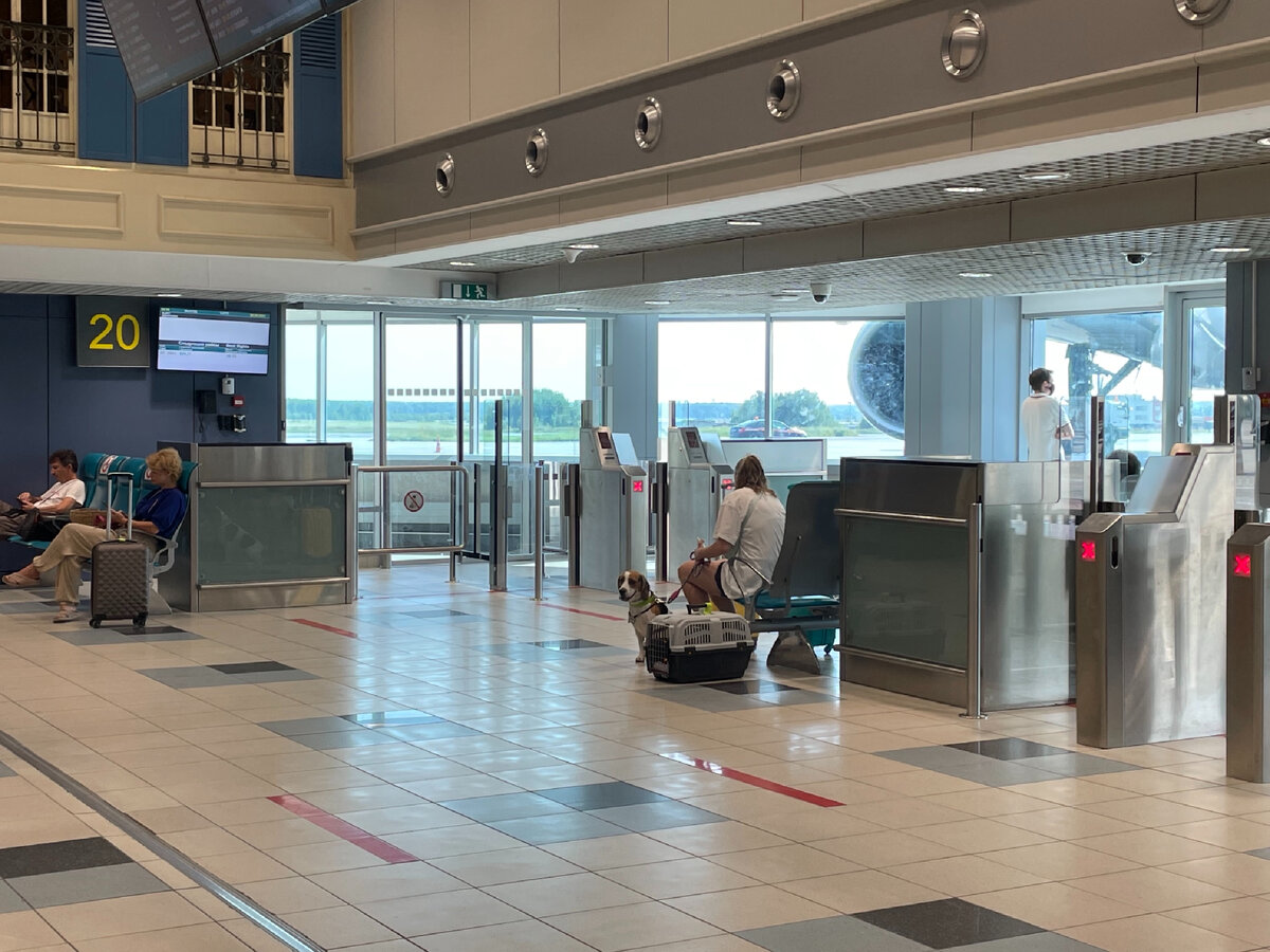 Перед вылетом никого, но с нами летит собачка. Фото автора