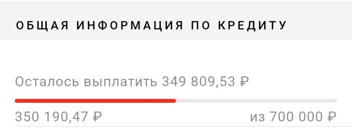 Мой кредит. Красная черта – выплаченная часть кредита.