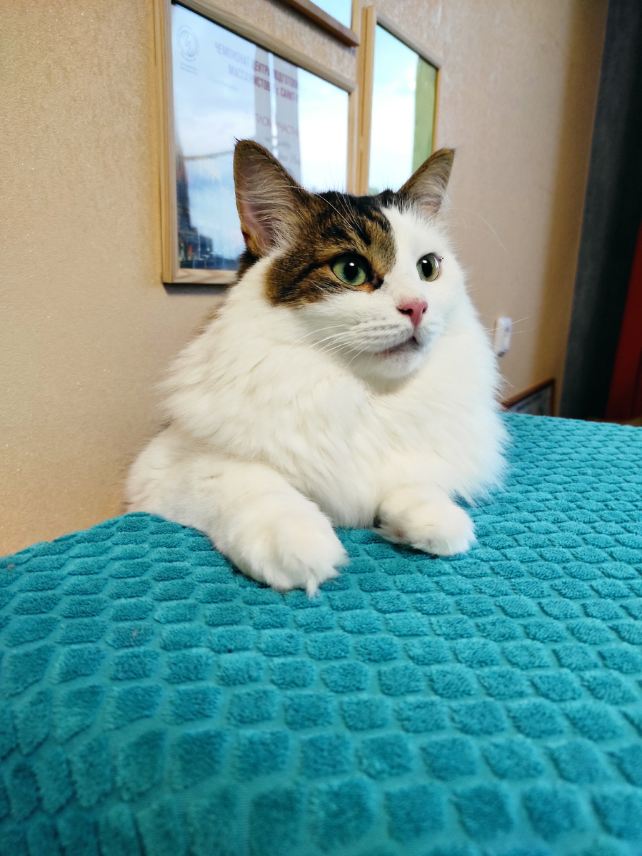 Ещё один массажист.