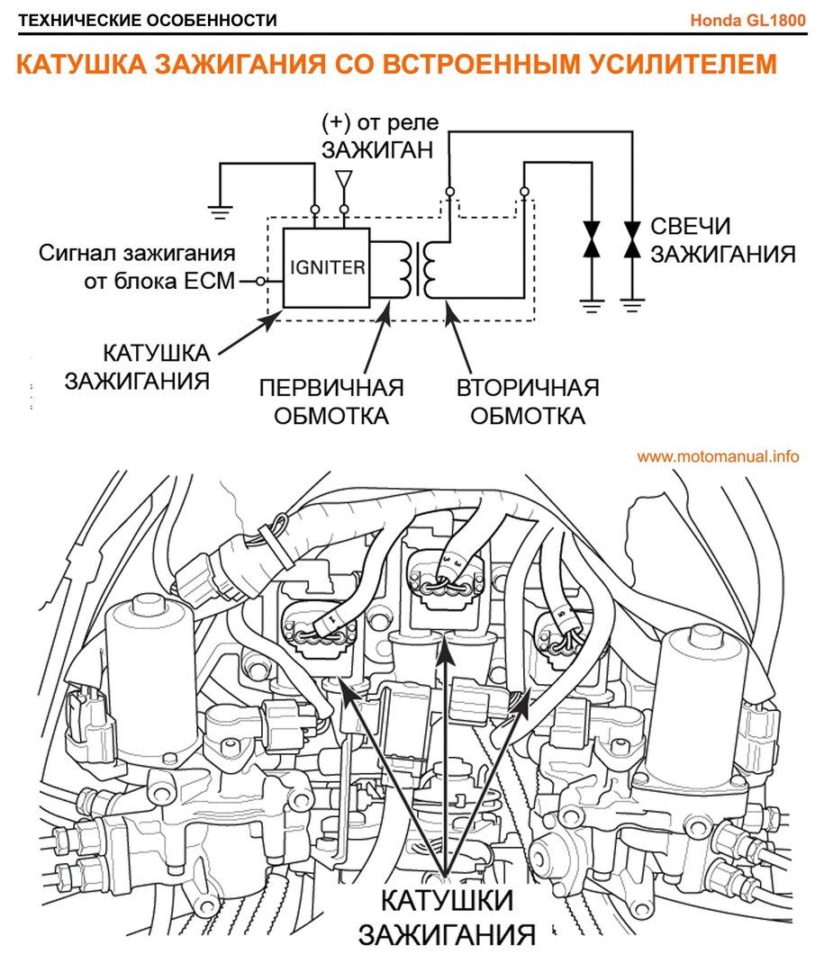 Иллюстрация из мануала Honda GL1800 "Gold Wing" (2000-2011)  Издательство "МОТО СЕРВИС МАНУАЛ"
