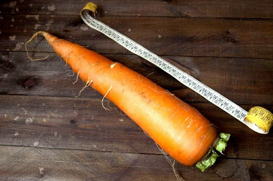 Сколько весит морковка