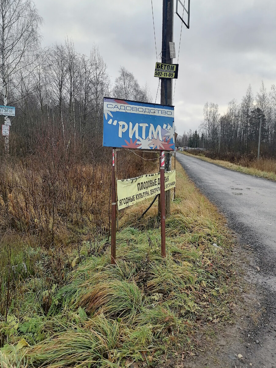 Въезд в СНТ «Ритм» (собственное фото)