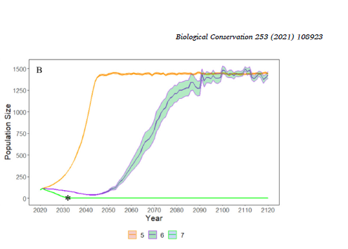 Добавьте описание