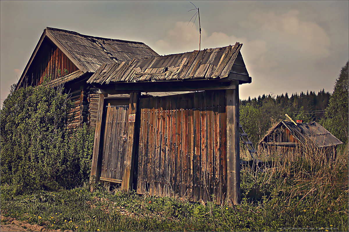 фото из открытого доступного источника сети интернет