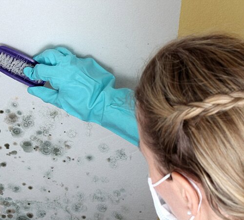 Избавляемся от плесени и грибка на потолке самостоятельно ...