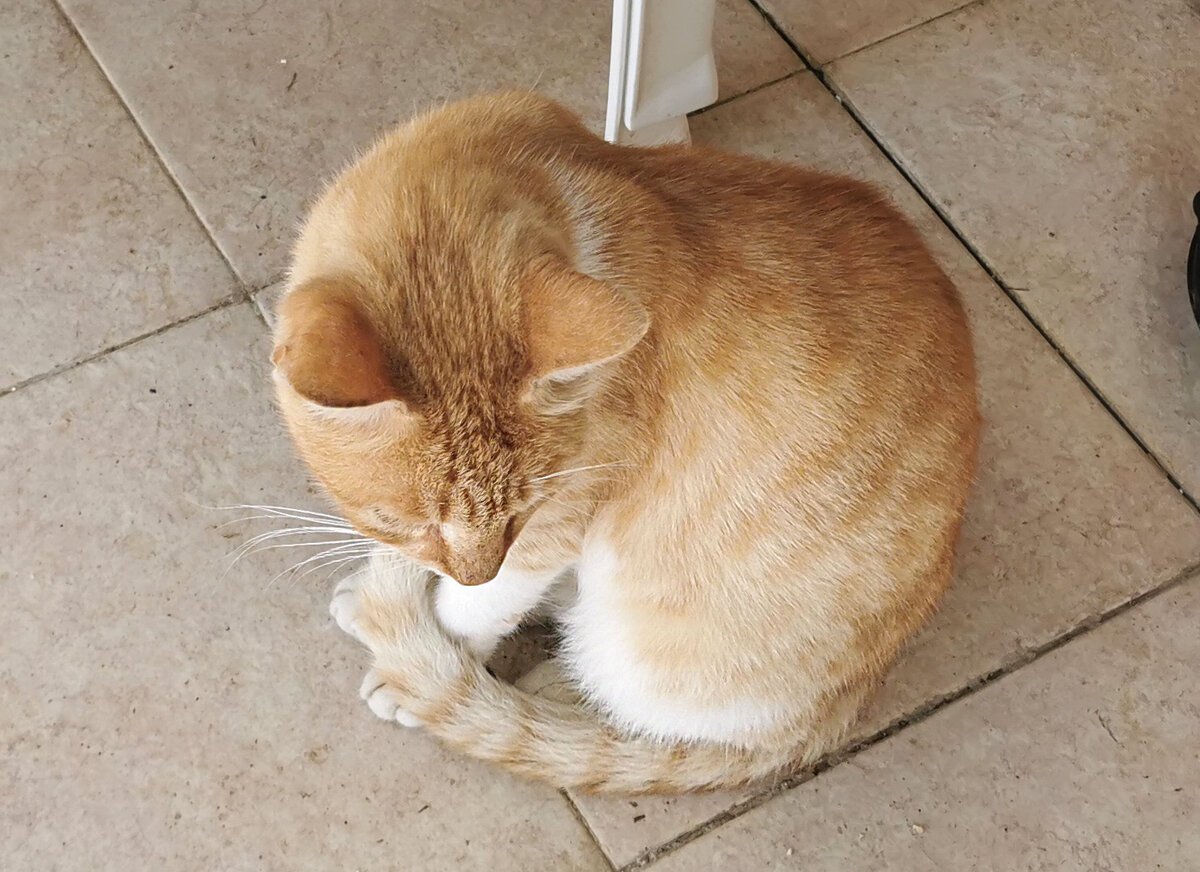 Фото автора