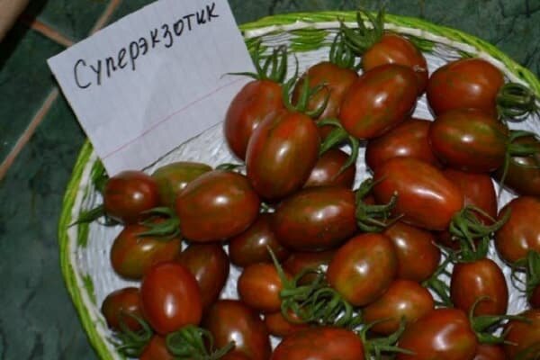 из открытых источников