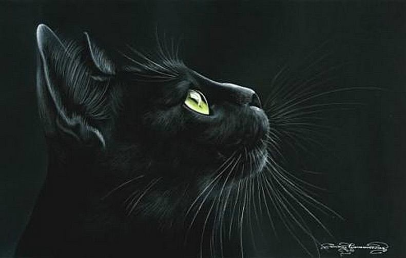 Черная кошка. Кот арт. Черная кошка живопись. Кошечка черная. Грациозная 2