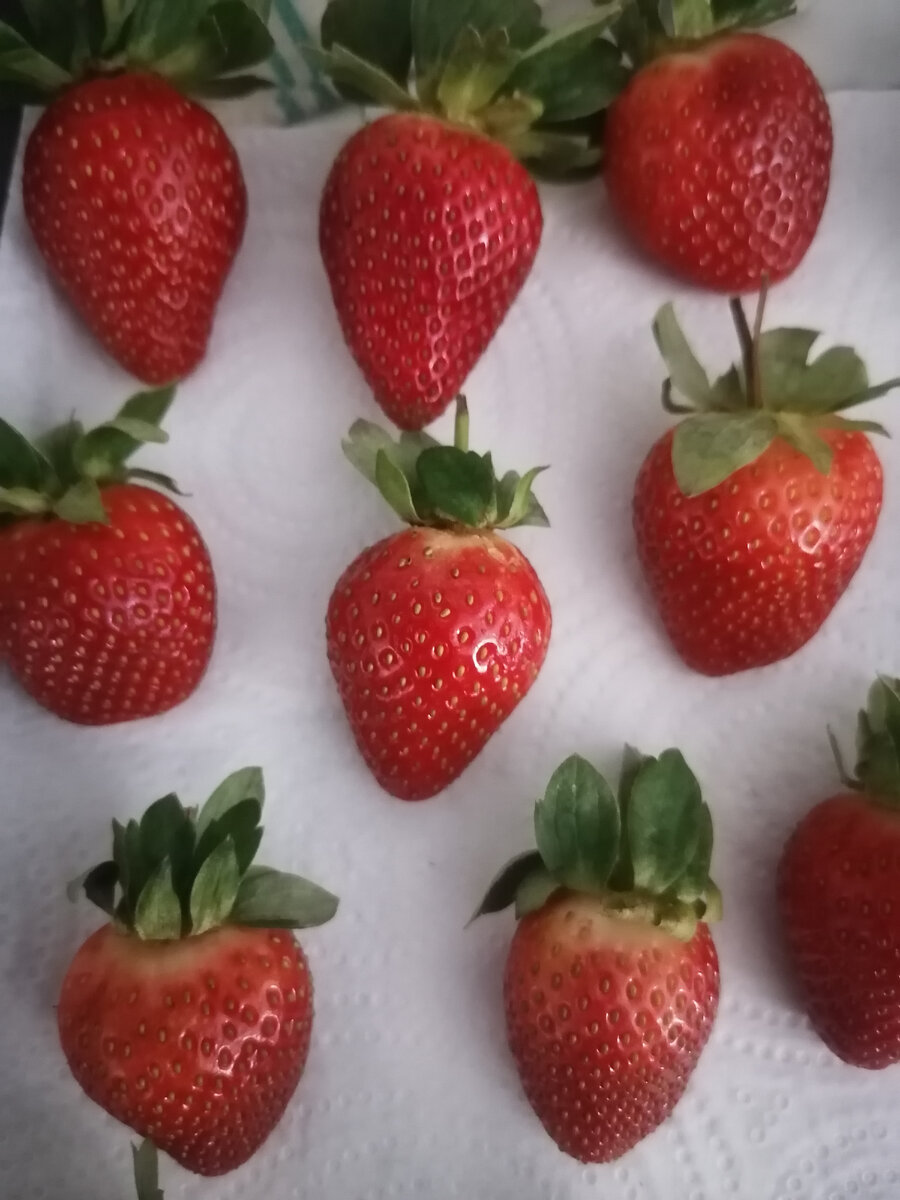 Шаг 2: Топим шоколад на водяной бане
Поломаем плитки на мелкие кусочки в отдельные пиалы. Для рецепта можно использовать шоколад в виде капелек.
