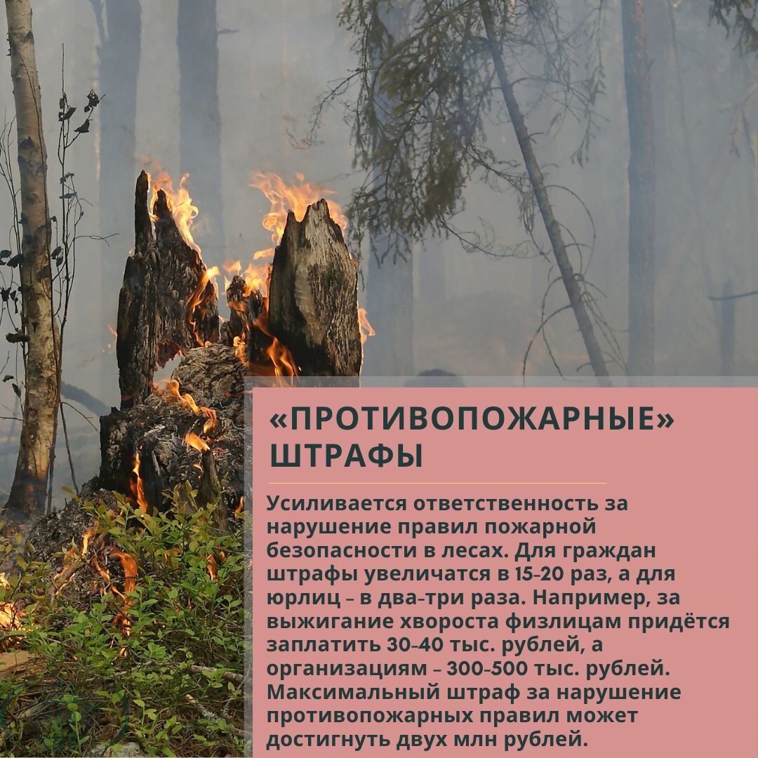 Законы июнь 2019. Пожар в лесу. Пожары в лесах презентация. Лес пожара для слайда. Лесные пожары проект