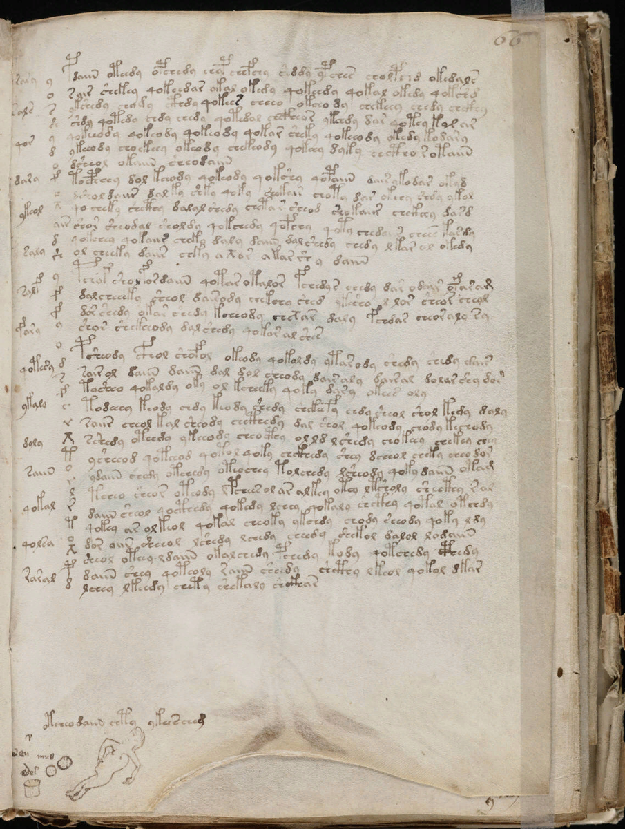 Страница из рукописи Войнича