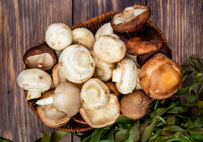 Готовим грузди вкусно: 5 простых рецептов приготовления грибов