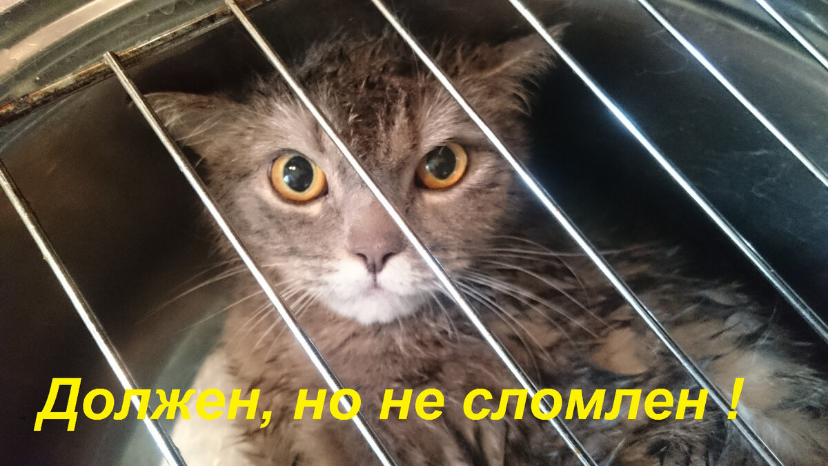 Поле Прав