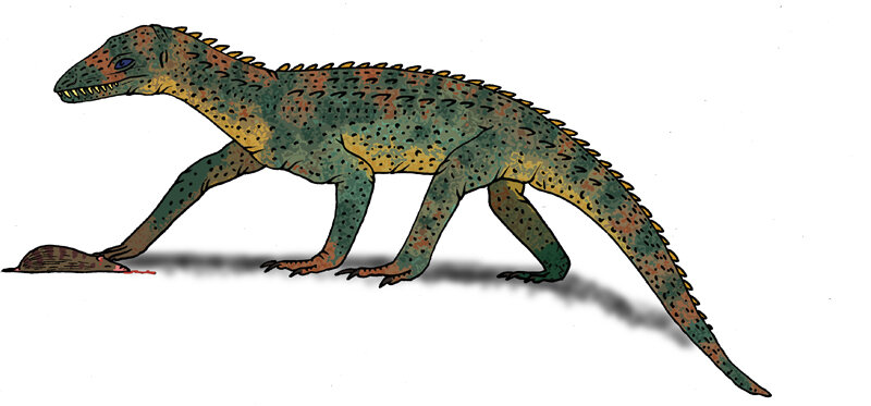 Реконструкция уатчитодона