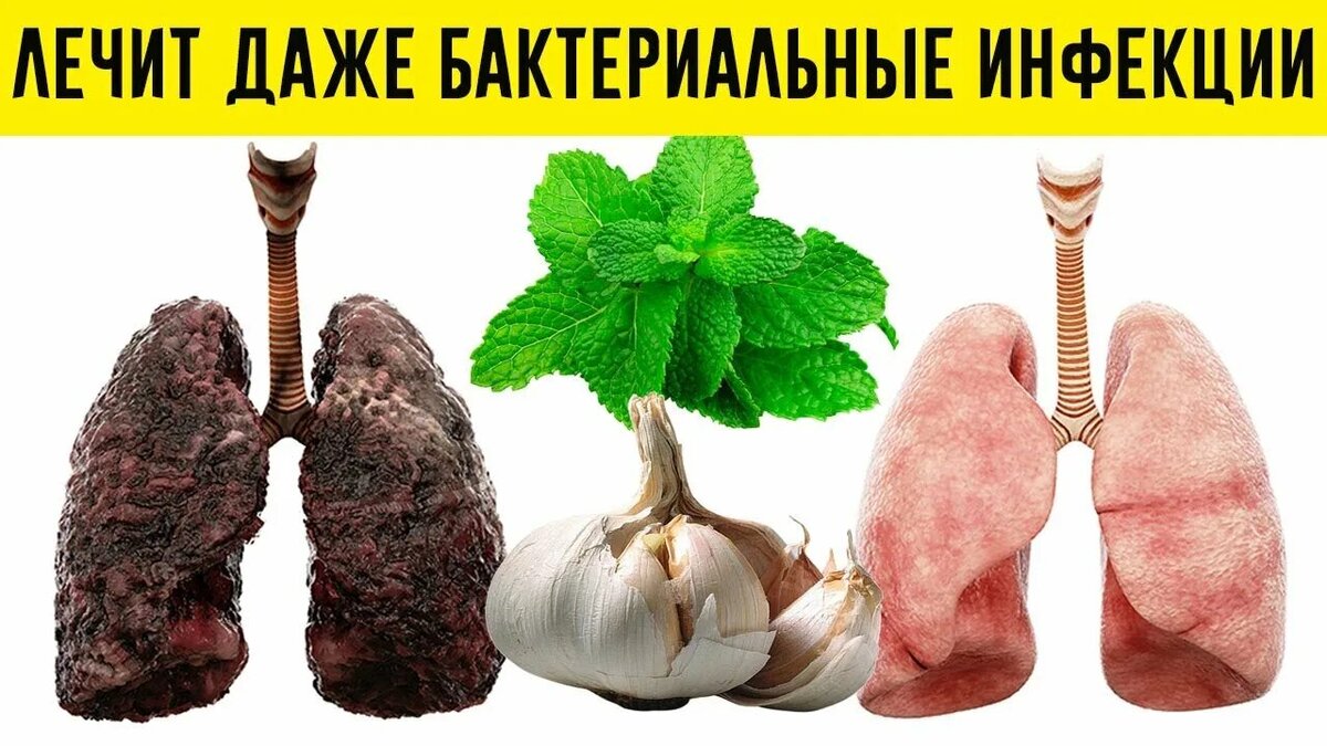 самый классный способ очистить легкие!. очистить лёгкие курильщика. бронхиальная карцинома. как почистить бронхи курильщика. как почистить бронхи курильщика.