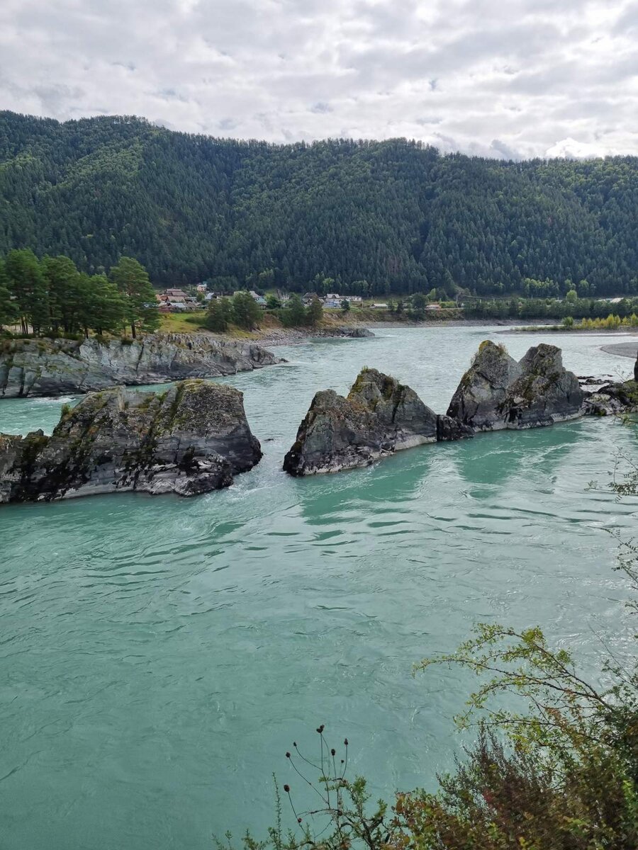 Зубы дракона, река Катунь