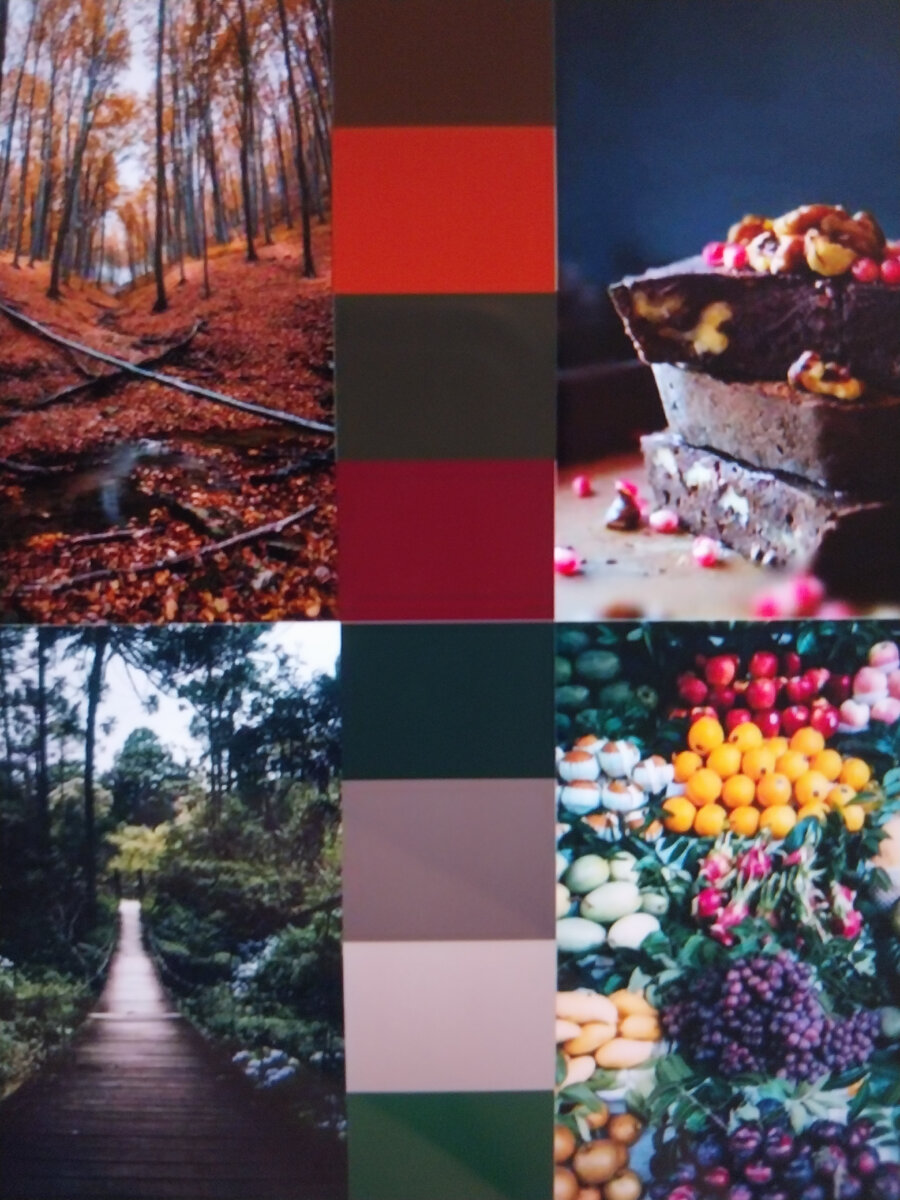 Цветотип "Ноябрь"