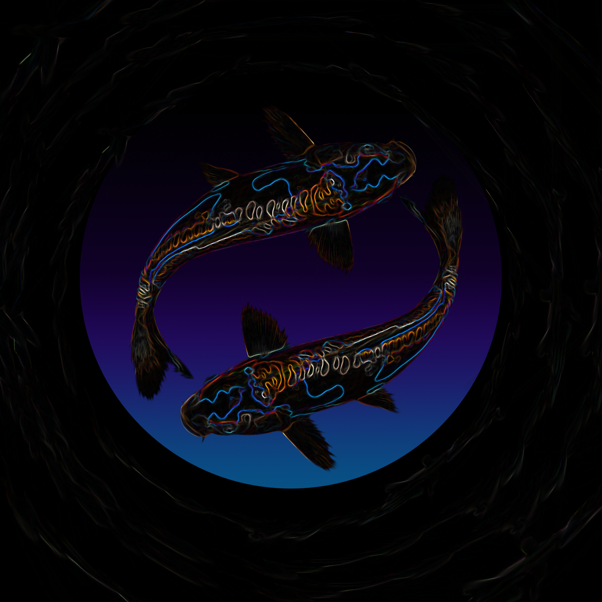 стерлядь acipenser ruthenus. белуга рыба черноморская. знак зодиака рыбы и стрелец. стрелец рыба. стрелец рыба.