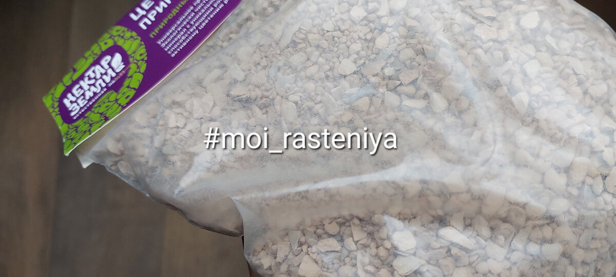 Moi rasteniya 