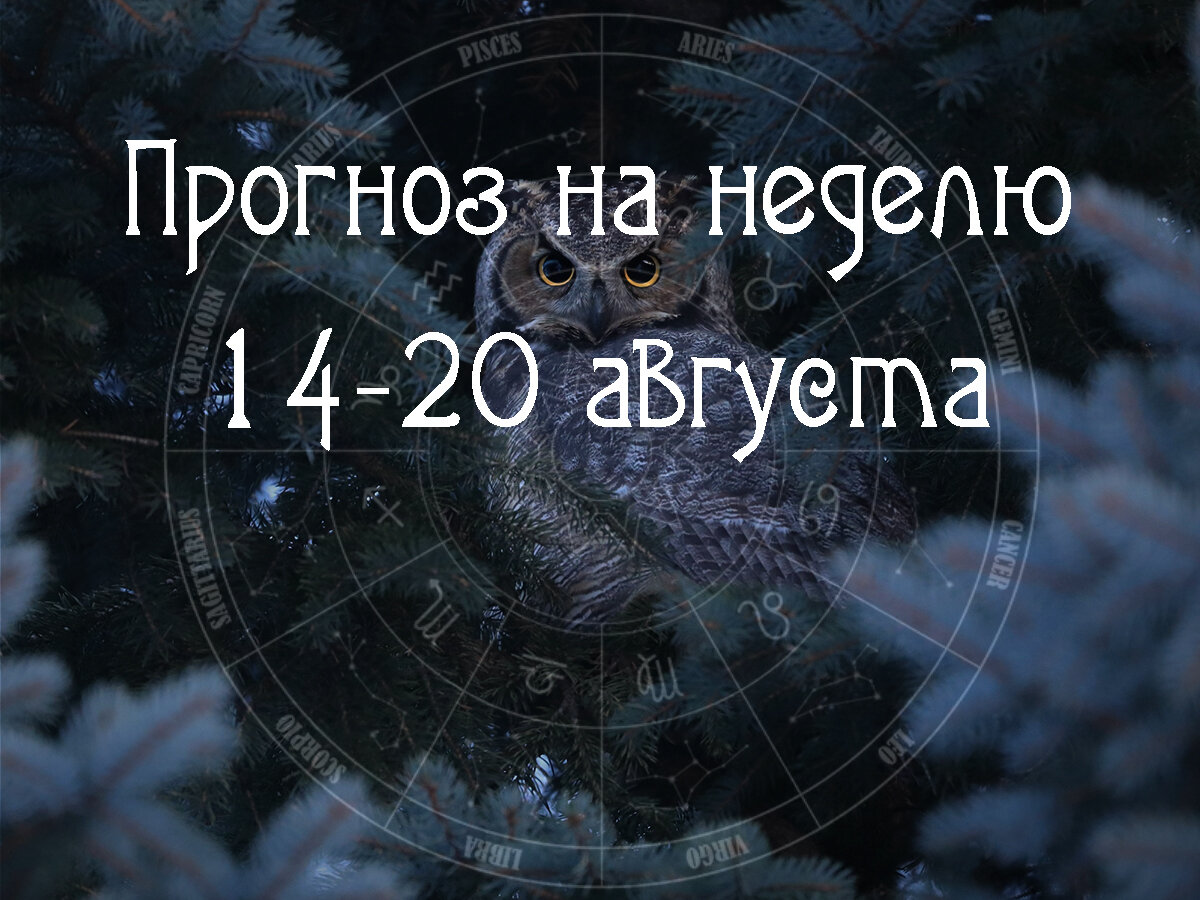 Астрологический прогноз на 14-20 августа 2023 года