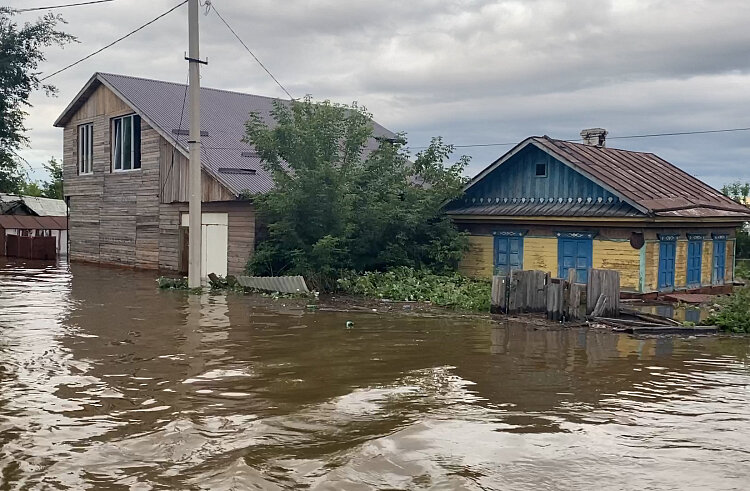    Фото: правительство Приморского края