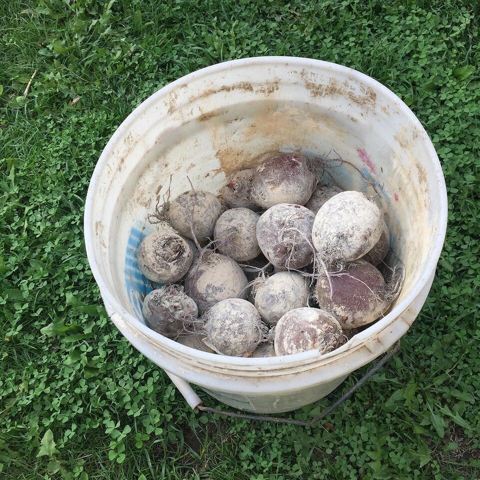    Соцсети блогера samsebe_agronom