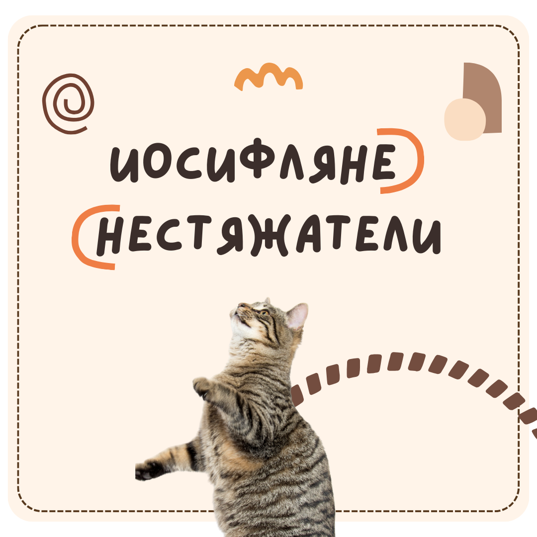 Иосифляне и нестяжатели | ЕГЭ, ОГЭ по истории | История и котики | ЕГЭ ...