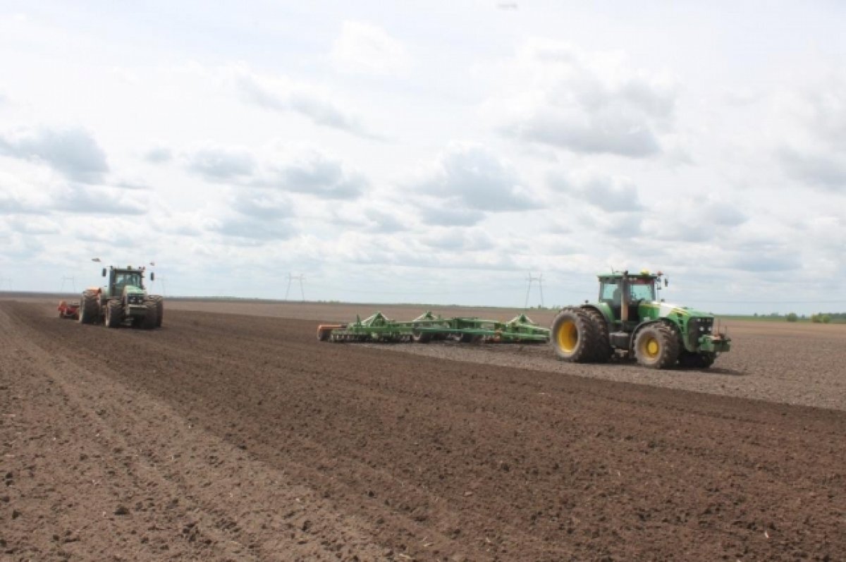    Эксперт Толкачев назвал экспорт продовольствия из РФ неуязвимым для санкций