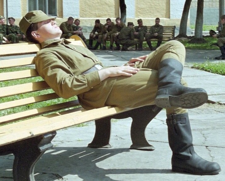 фото из интернета.