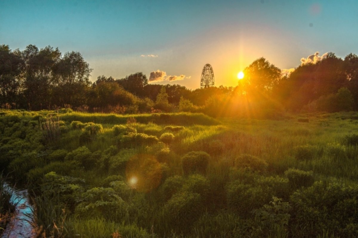    В Тульской области до конца сентября будет аномально теплая погода