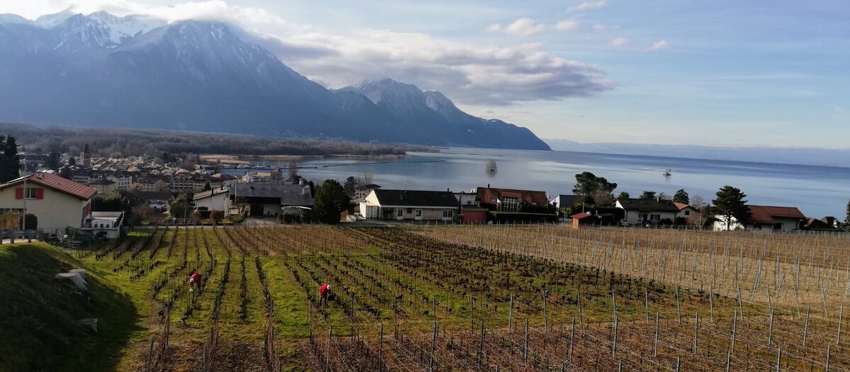 VILLENEUVE . ПАНОРАМНЫЙ ВИД НА ФРАНЦУЗСКИЕ АЛЬПЫ. ЖЕНЕВСКОЕ ОЗЕРО 