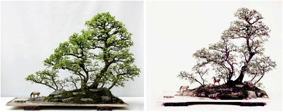 Источники: https://www.bonsaiempire.com/inspiration/top-10/chinese-penjing http://www.tsamisaquarium.gr/Selides/Bonsai/pen_jing1.htm
