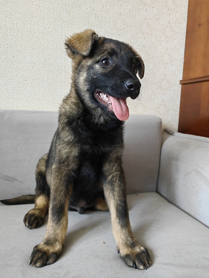 Листайте вправо, чтобы увидеть больше изображений