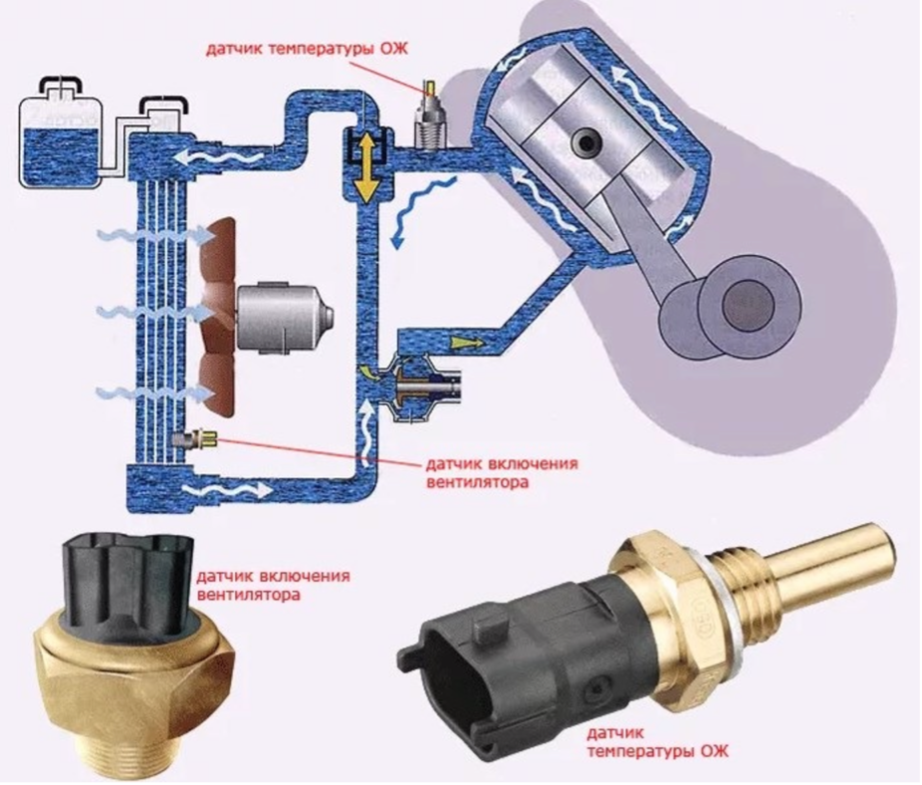 Как работает датчик температуры. Датчик включения вентилятора Нива Шевроле. Датчик включения вентилятора охлаждения Нива Шевроле. Датчик вентиляторов Нива Шевроле 2006 года. Датчик вентиляторов системы охлаждения Нива.