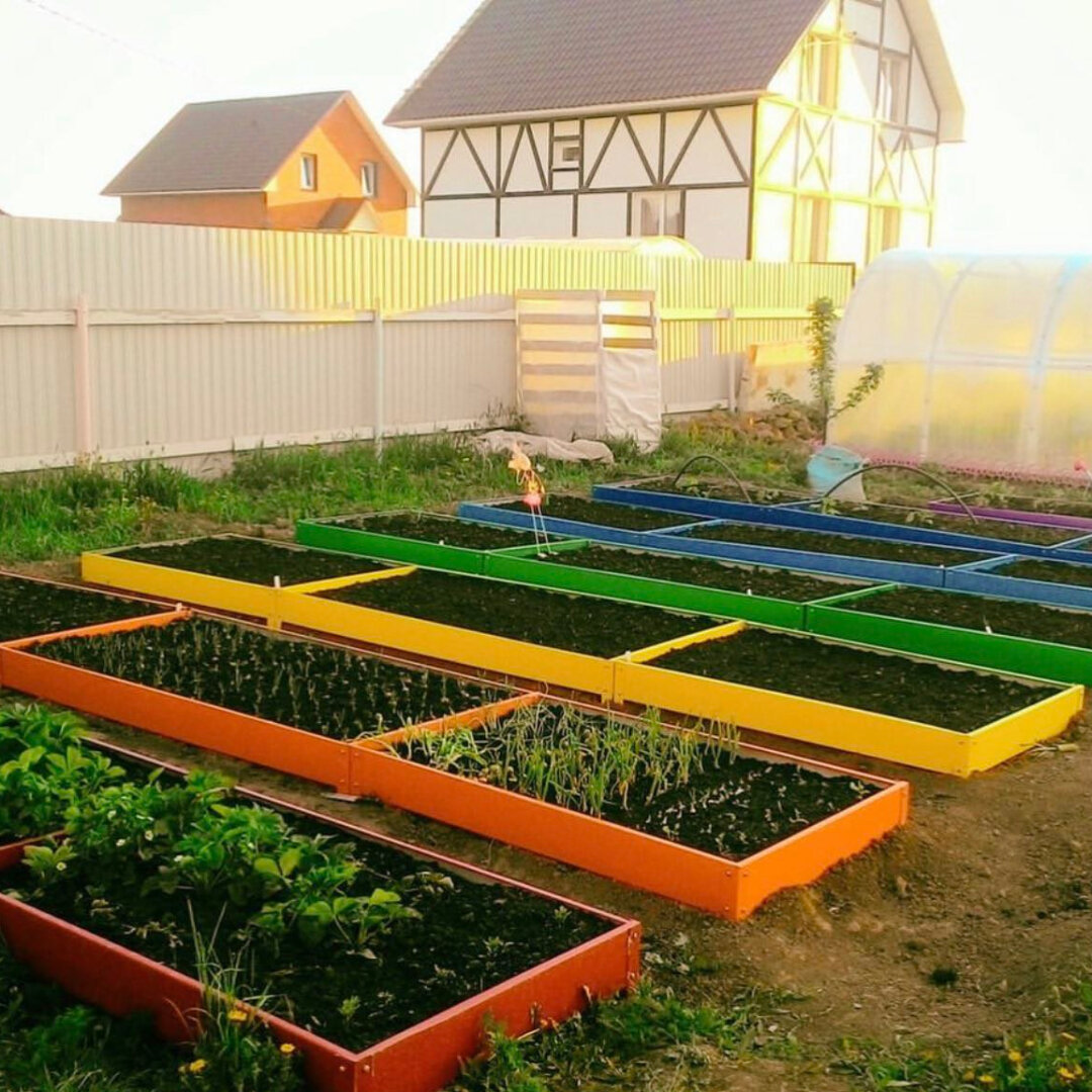 В какой цвет покрасить грядки в огороде фото