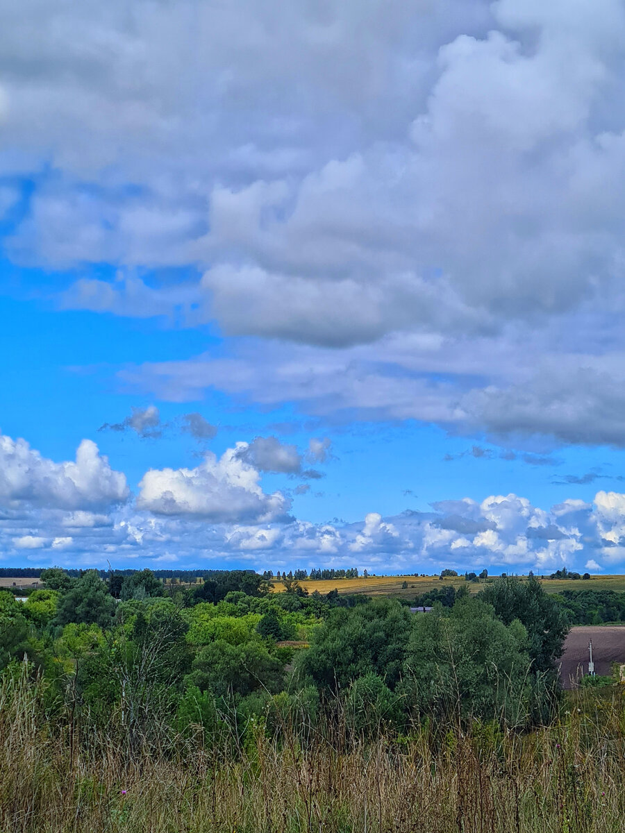 Панорама из имения