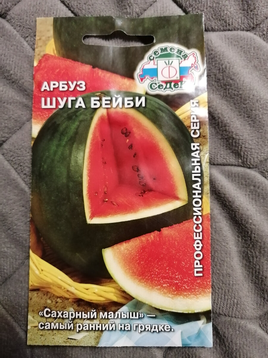 Шуга бейби