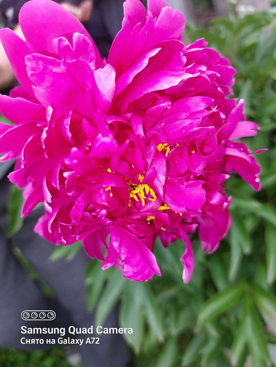 Фото автора (фото делала в 2022 году)